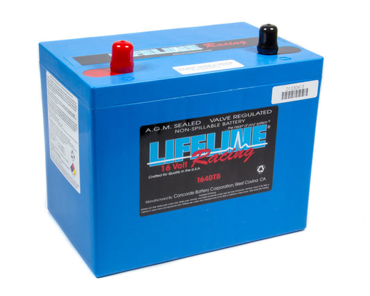 16 Volt 2 Post Battery