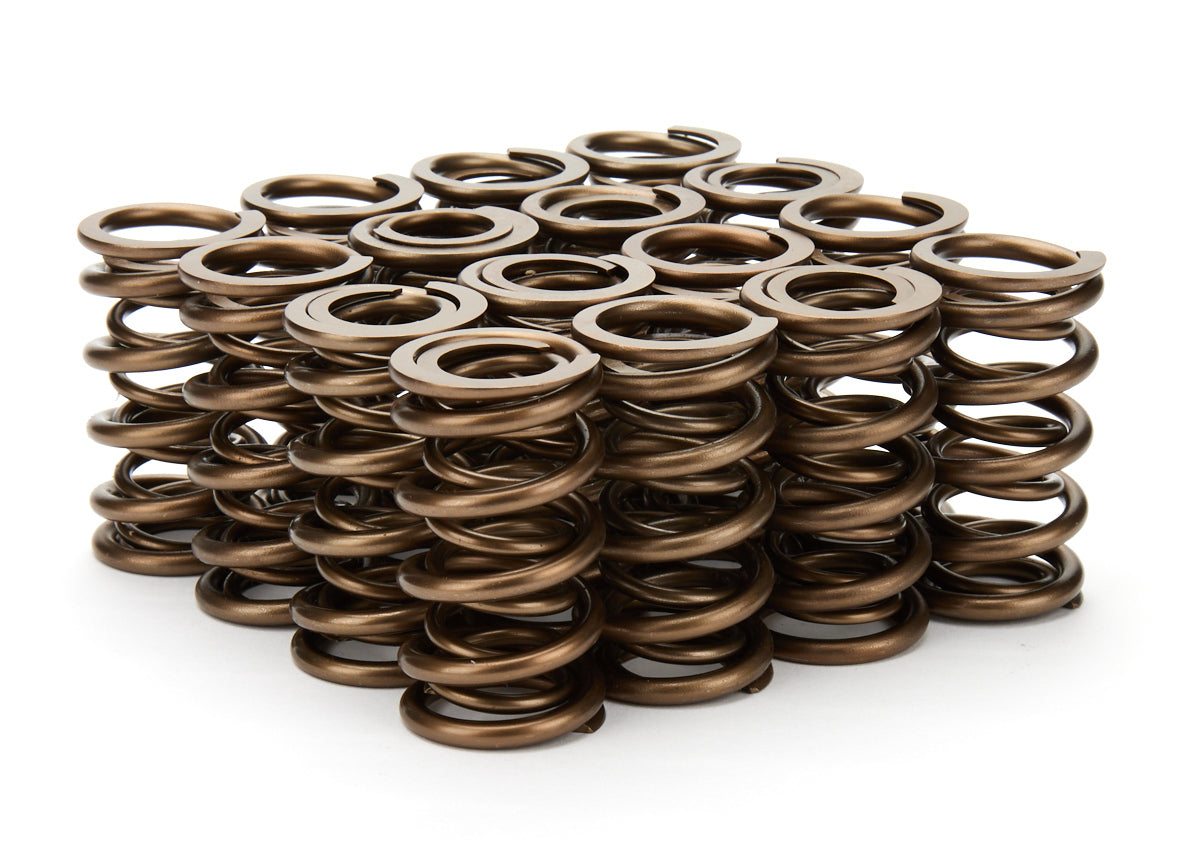 1.290 Dual Valve Springs 16pk