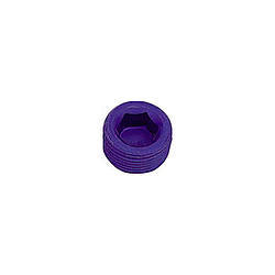 1/16 Pipe Plug (Allen) (2pk)